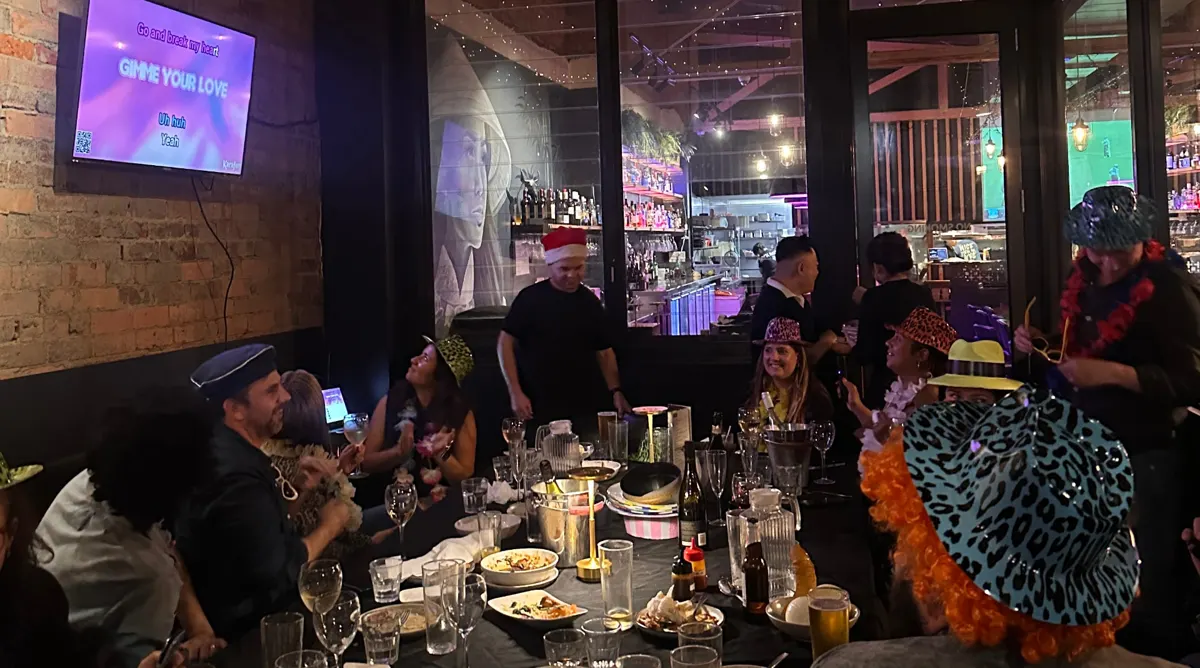 Guests in party hats singing karaoke in the Private Room